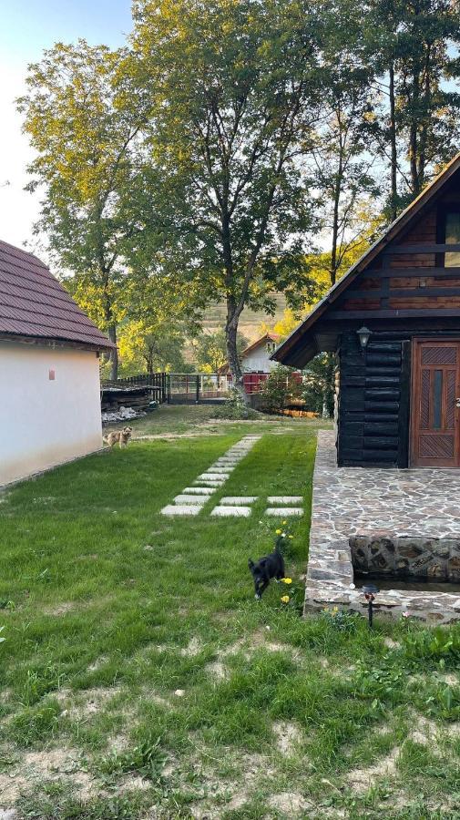 Cabana Paulina Chiscau Exteriér fotografie